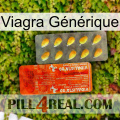 Viagra Générique new01